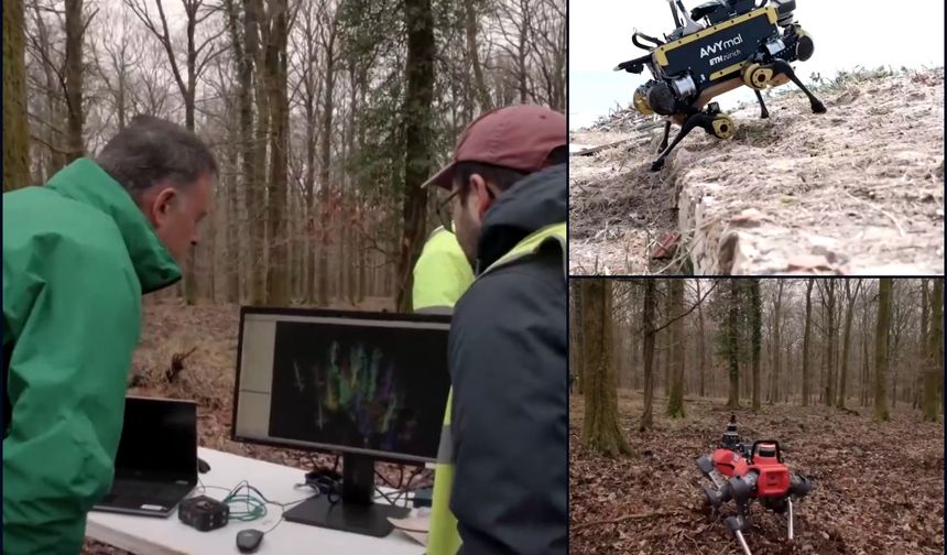 6G destekli robot köpekler orman yangınlarını yapay zeka ile önceden tespit edecek