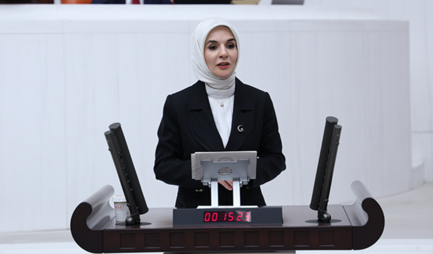 Aile ve Sosyal Hizmetler Bakanı Göktaş, TBMM Genel Kurulunda bakanlığının 2026 yılı bütçesini sundu